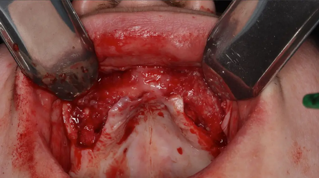 WhatsApp Image 2025-11-27 at 09.21.14 (2).webp