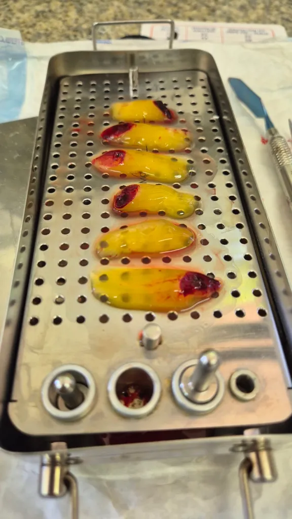 WhatsApp Image 2026-02-16 at 15.25.42.webp