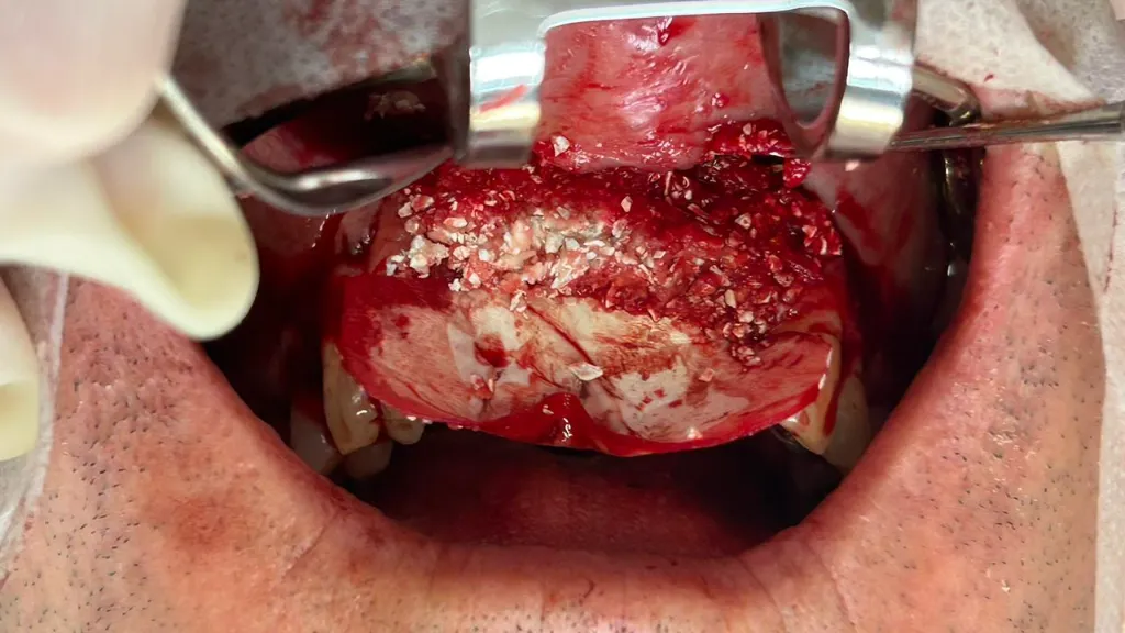 WhatsApp Image 2026-02-16 at 15.14.20.webp