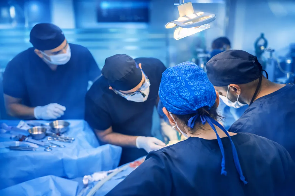 Titania Academy Top.webp