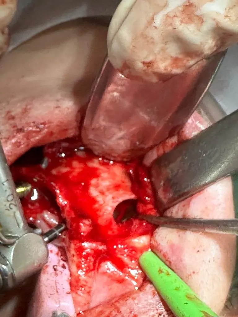 WhatsApp Image 2025-07-17 at 21.31.14 (3).webp