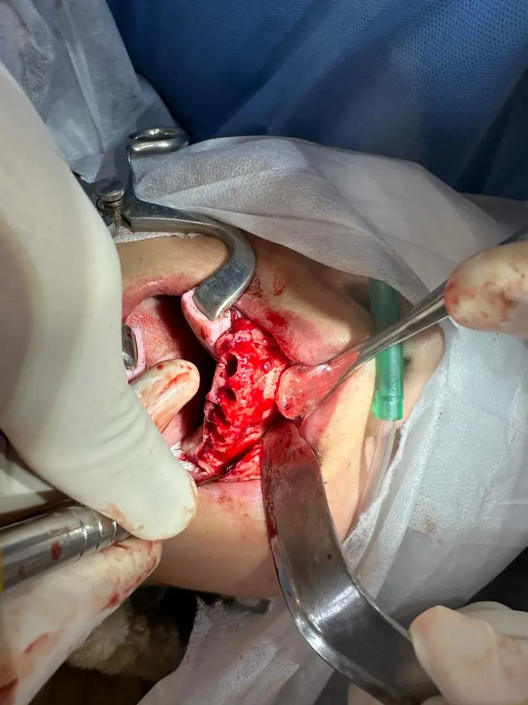 WhatsApp Image 2025-07-17 at 21.31.13 (3).webp